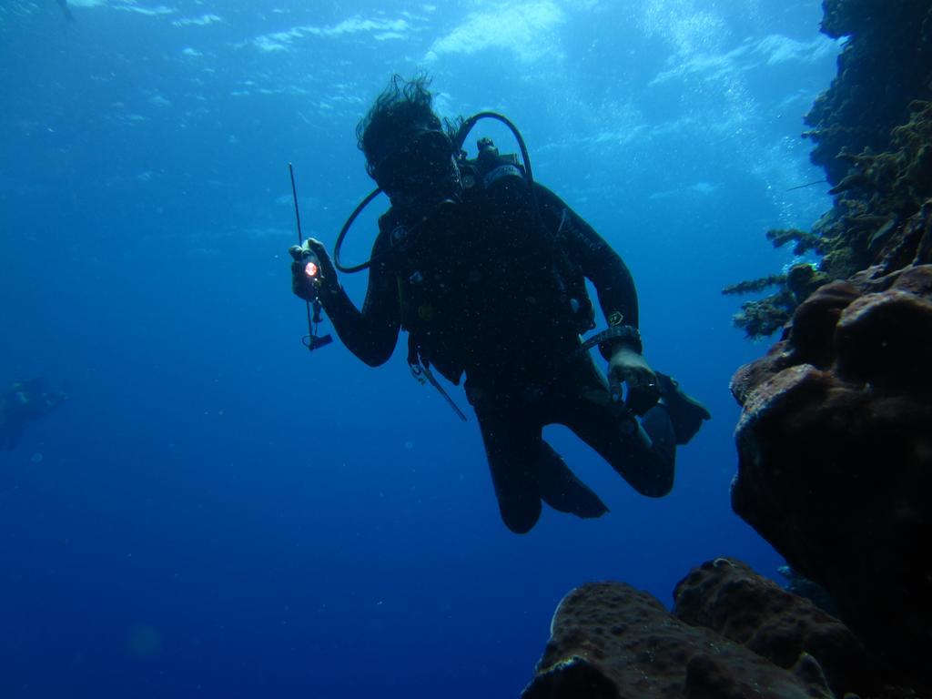 מנאדו Nusantara Diving Centre Resort & Spa מראה חיצוני תמונה